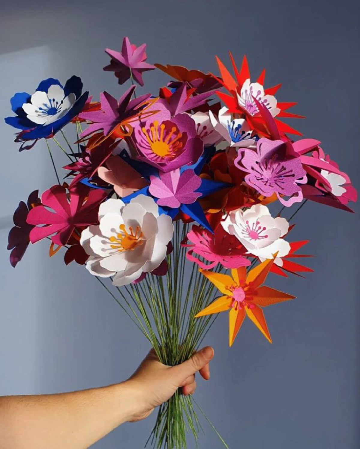 Une image de la marque PliPapierCiseaux