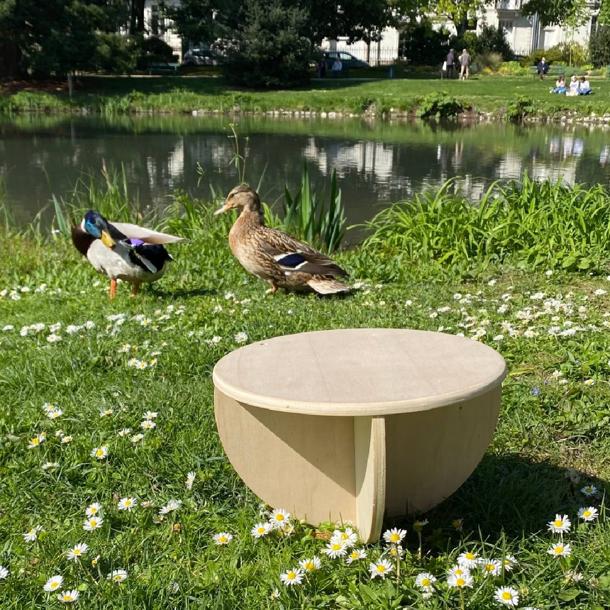 Une image de la marque Noobeo