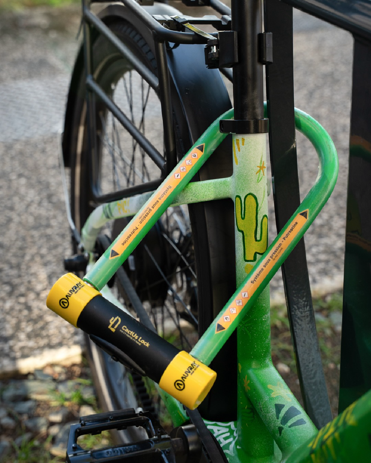 Une image de la marque Cactus Lock