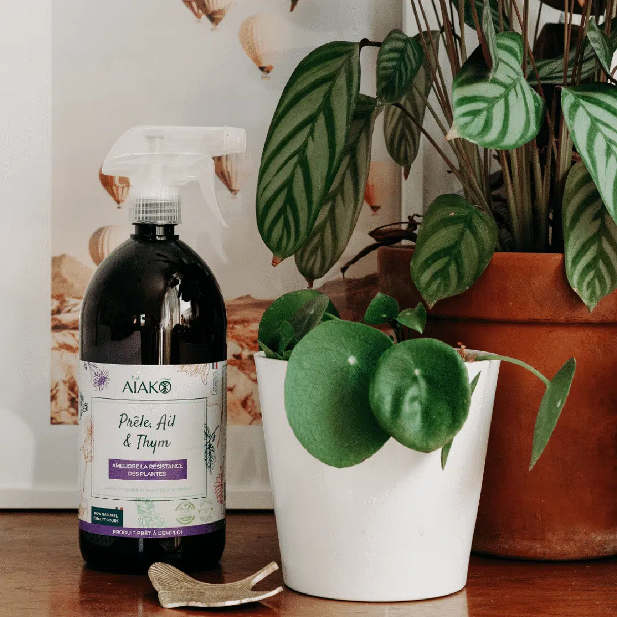 Une image de la marque Aïako