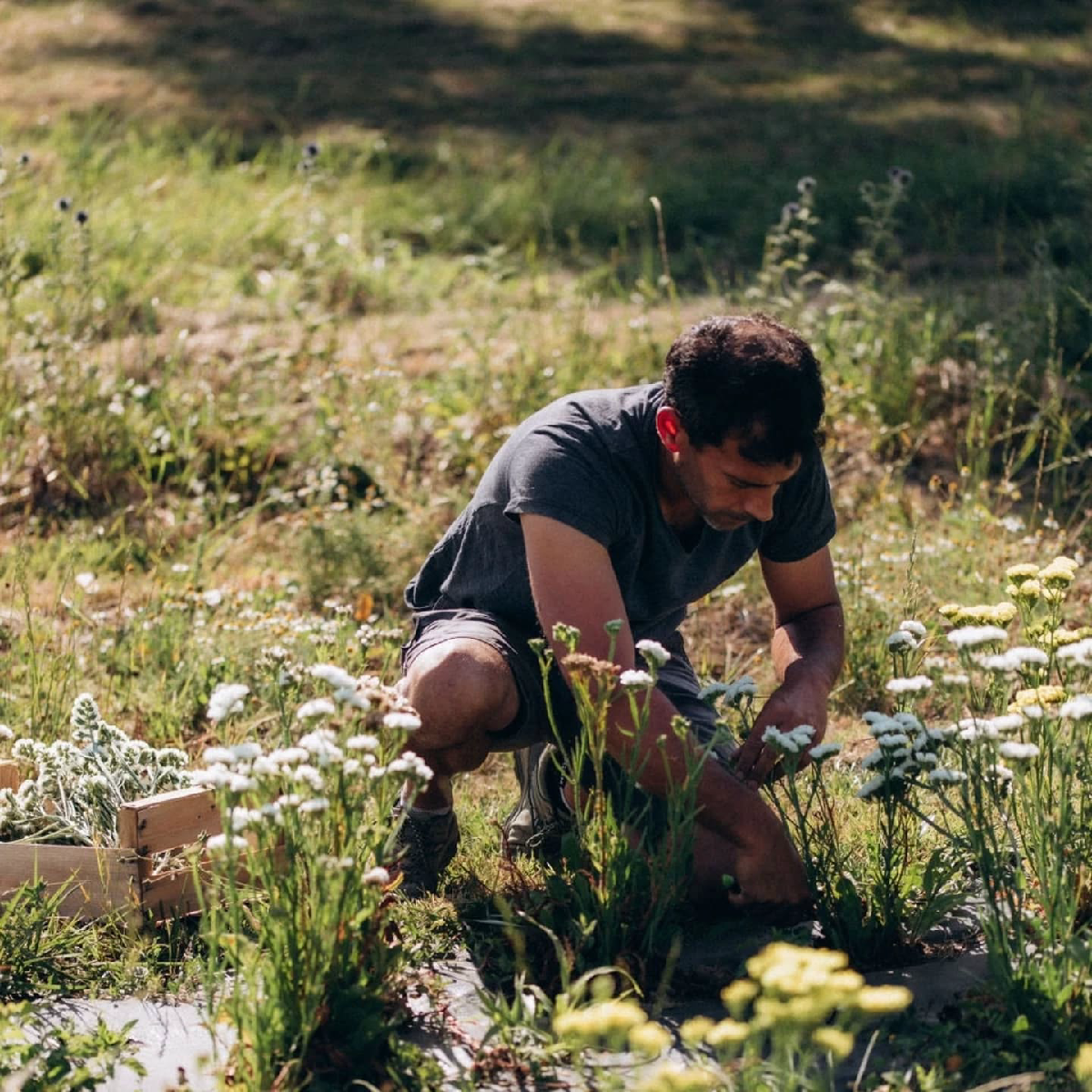 Une image de la marque Terralya