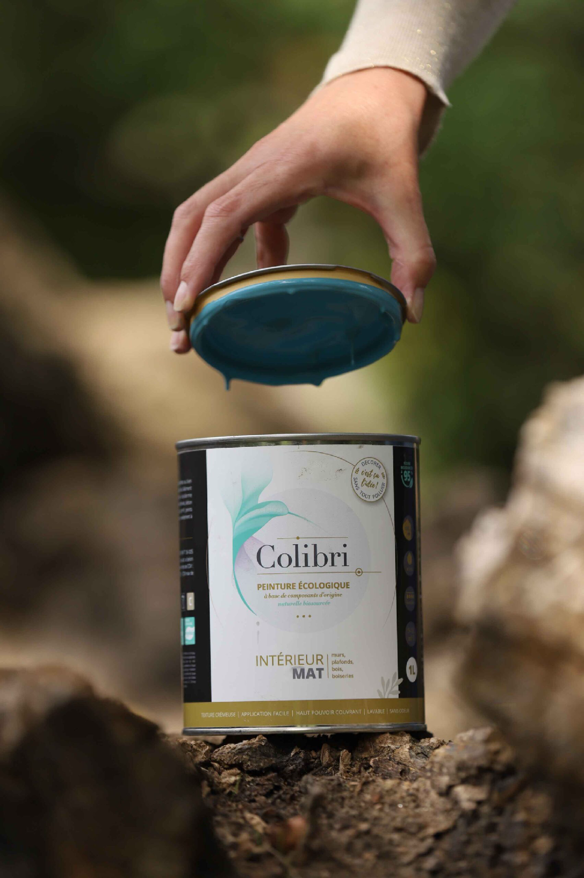 Une image de la marque Colibri Peinture