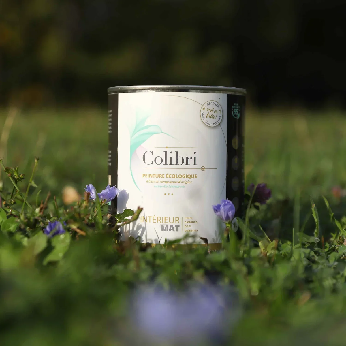 Une image de la marque Colibri Peinture