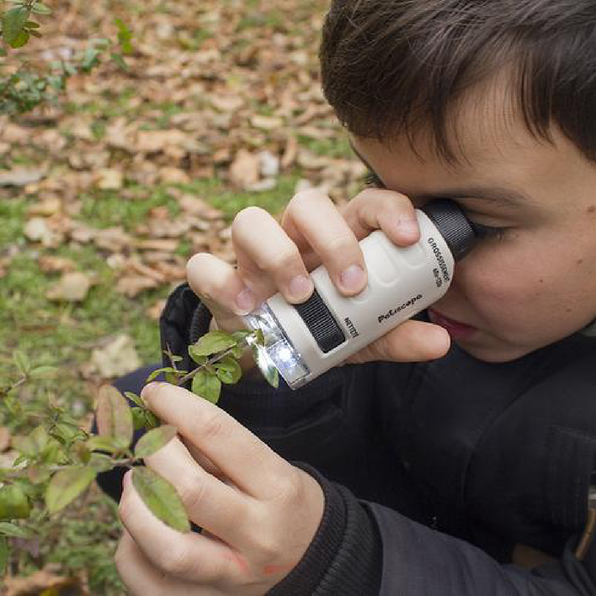 Une image de la marque Petiscope