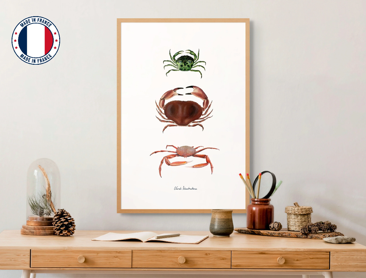 Une image de la marque Varek Illustrations