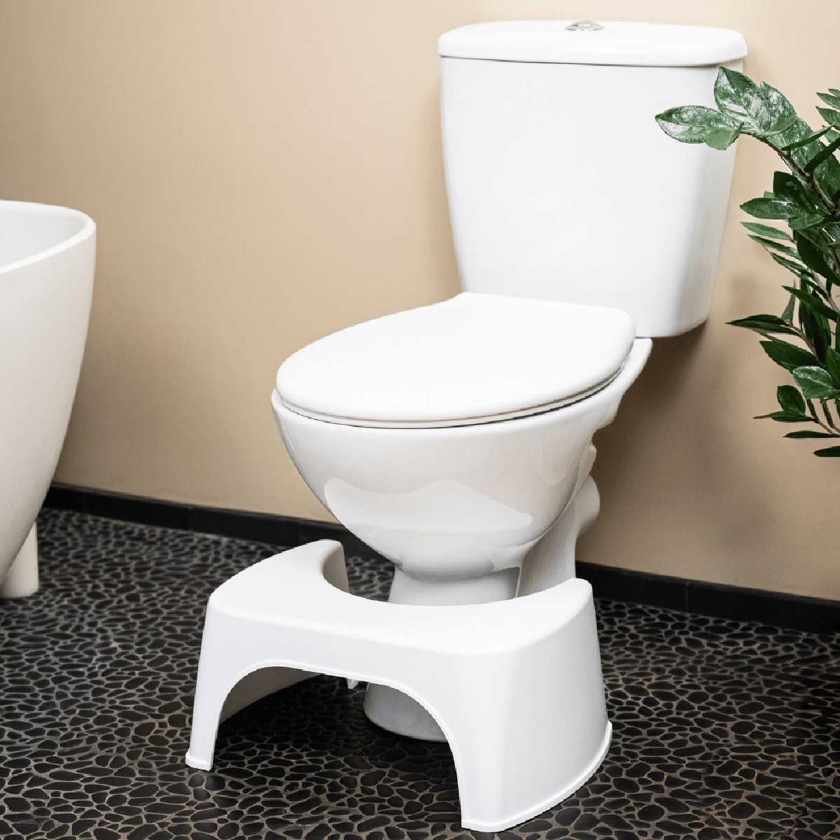 Une image de la marque WellCare