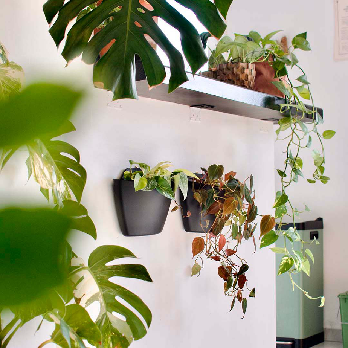 Une image de la marque CitySens