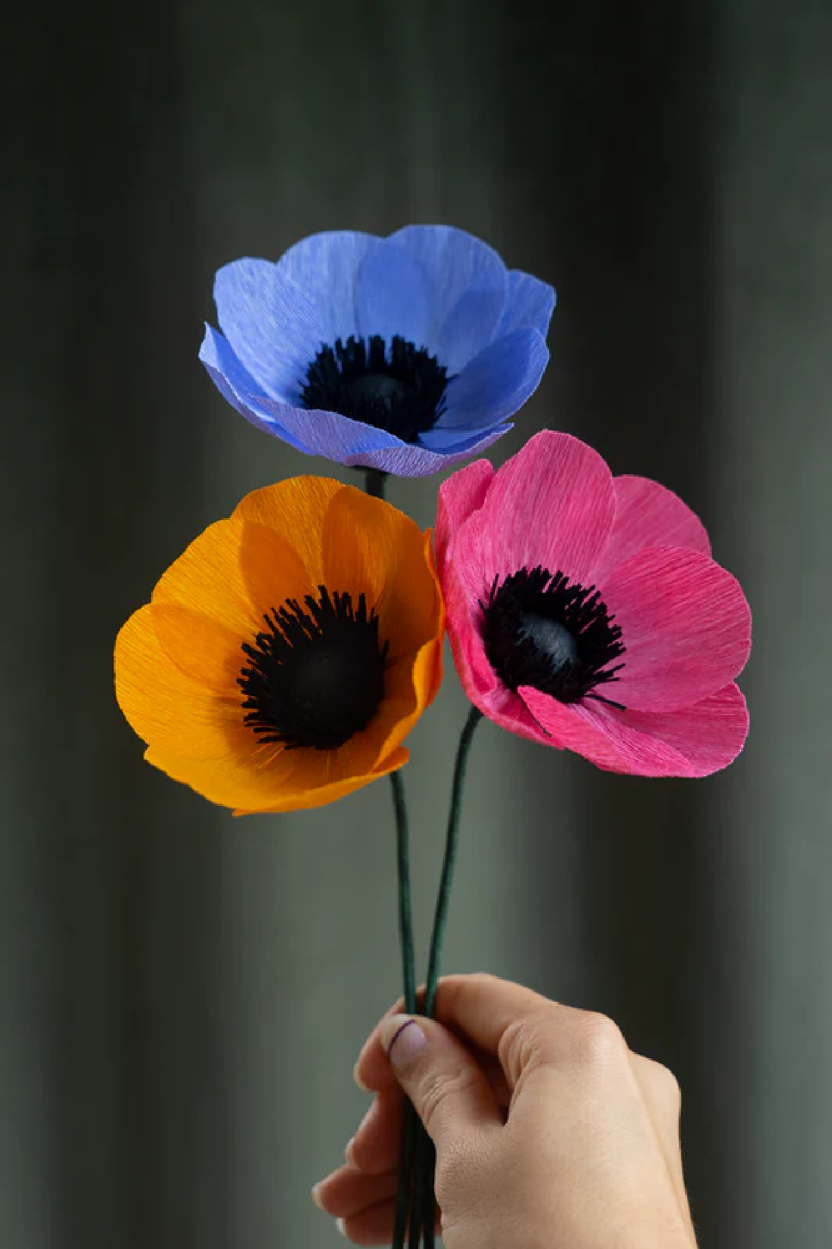 Une image de la marque Maison Tessier