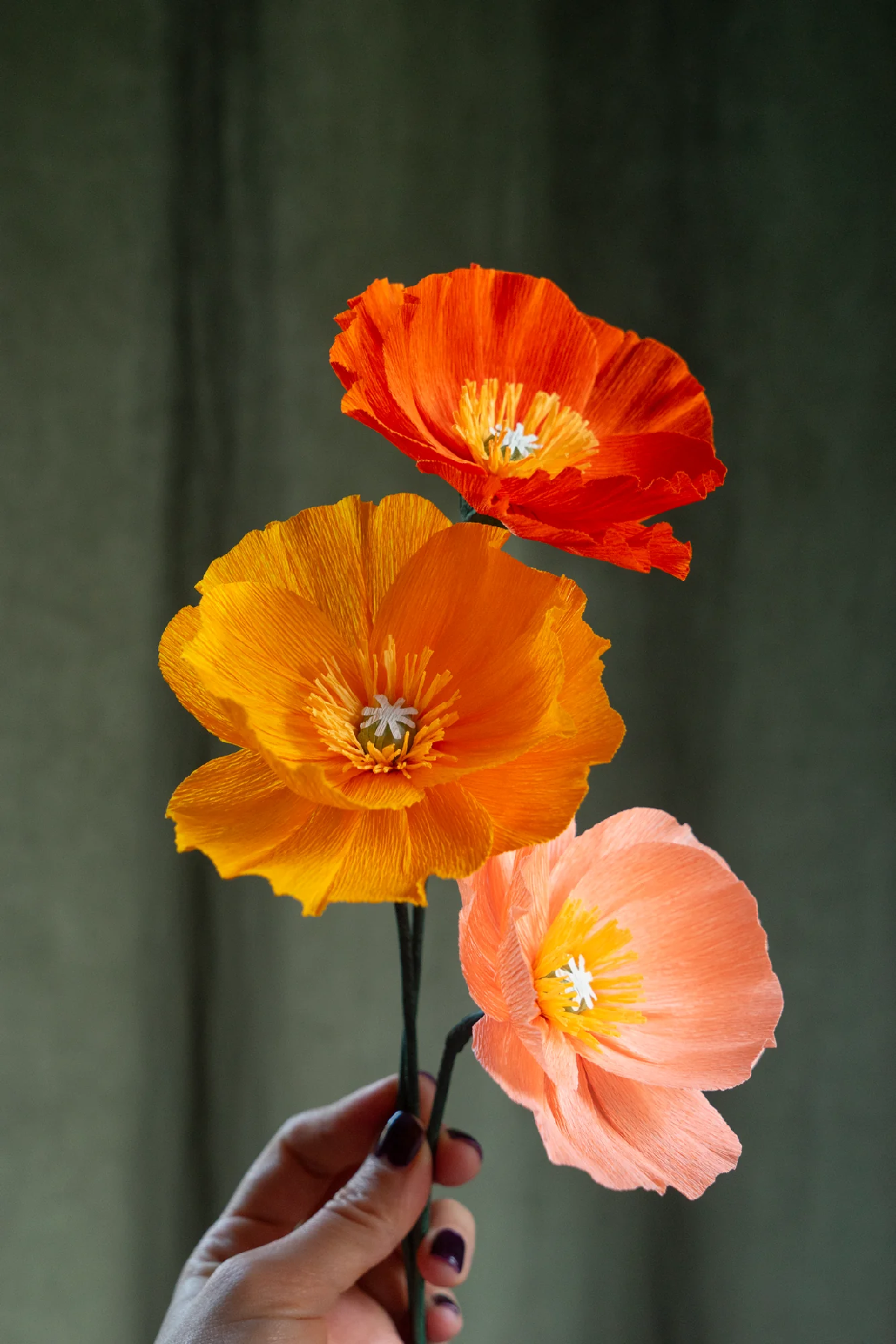 Une image de la marque Maison Tessier