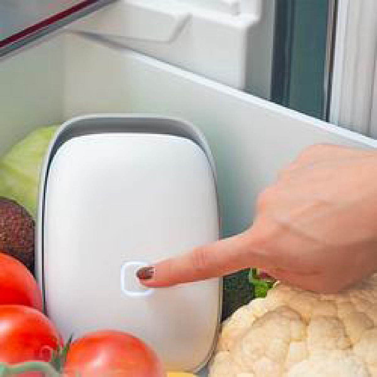 Une image de la marque Vitesy