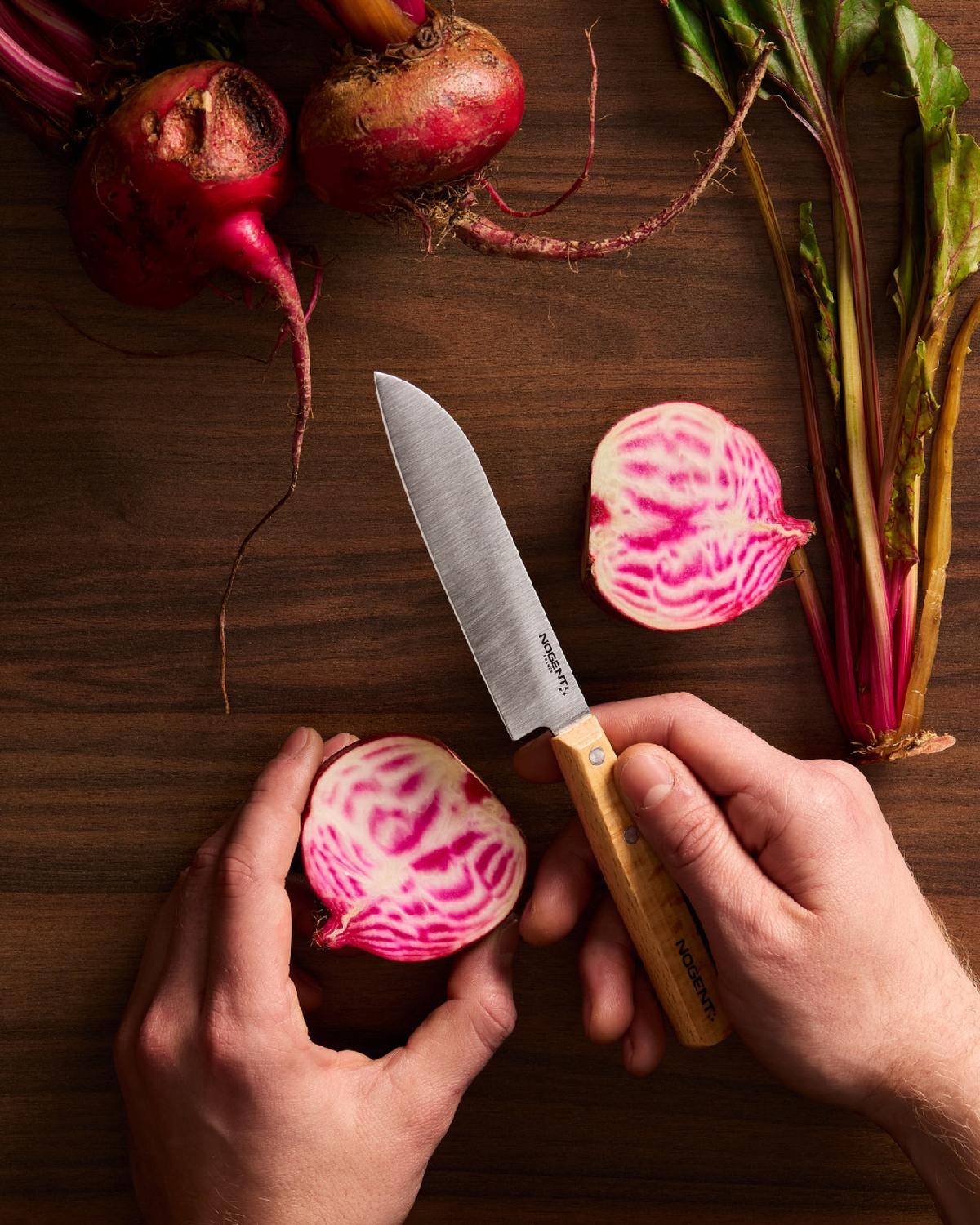 Une image de la marque Nogent 3 Etoiles