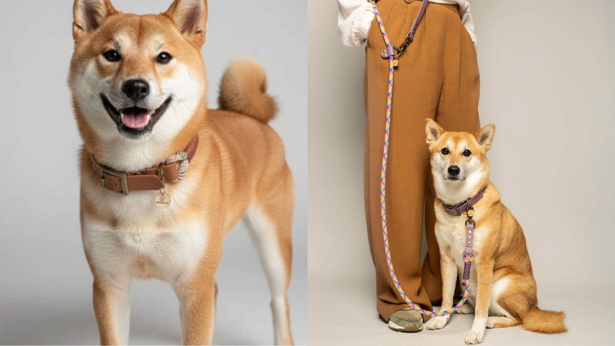 KITSUNĒ.DOG