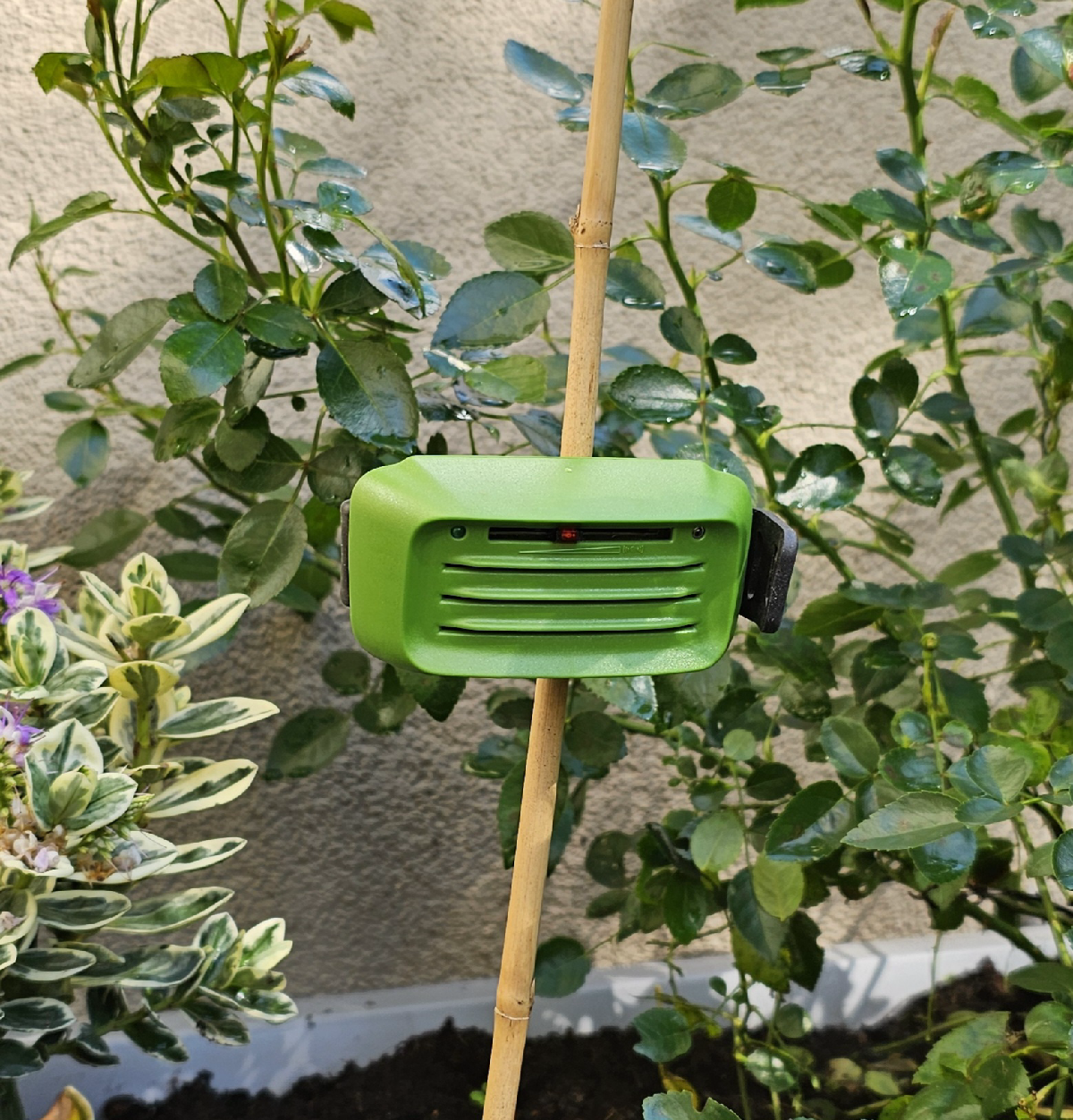 Une image de la marque Repulsator