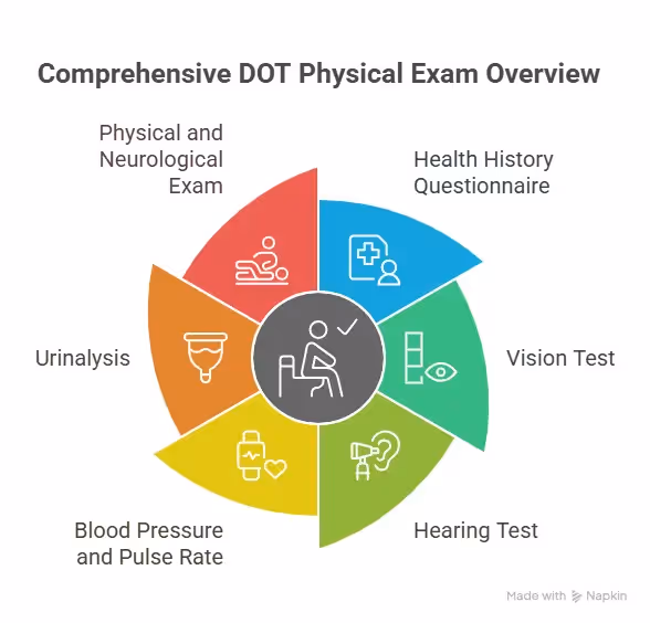 A circular diagram breaking down the components of a DOT physical exam: Physical and Neurological Exam, Health History Questionnaire, Vision Test, Hearing Test, Blood Pressure and Pulse Rate, and Urinalysis.
