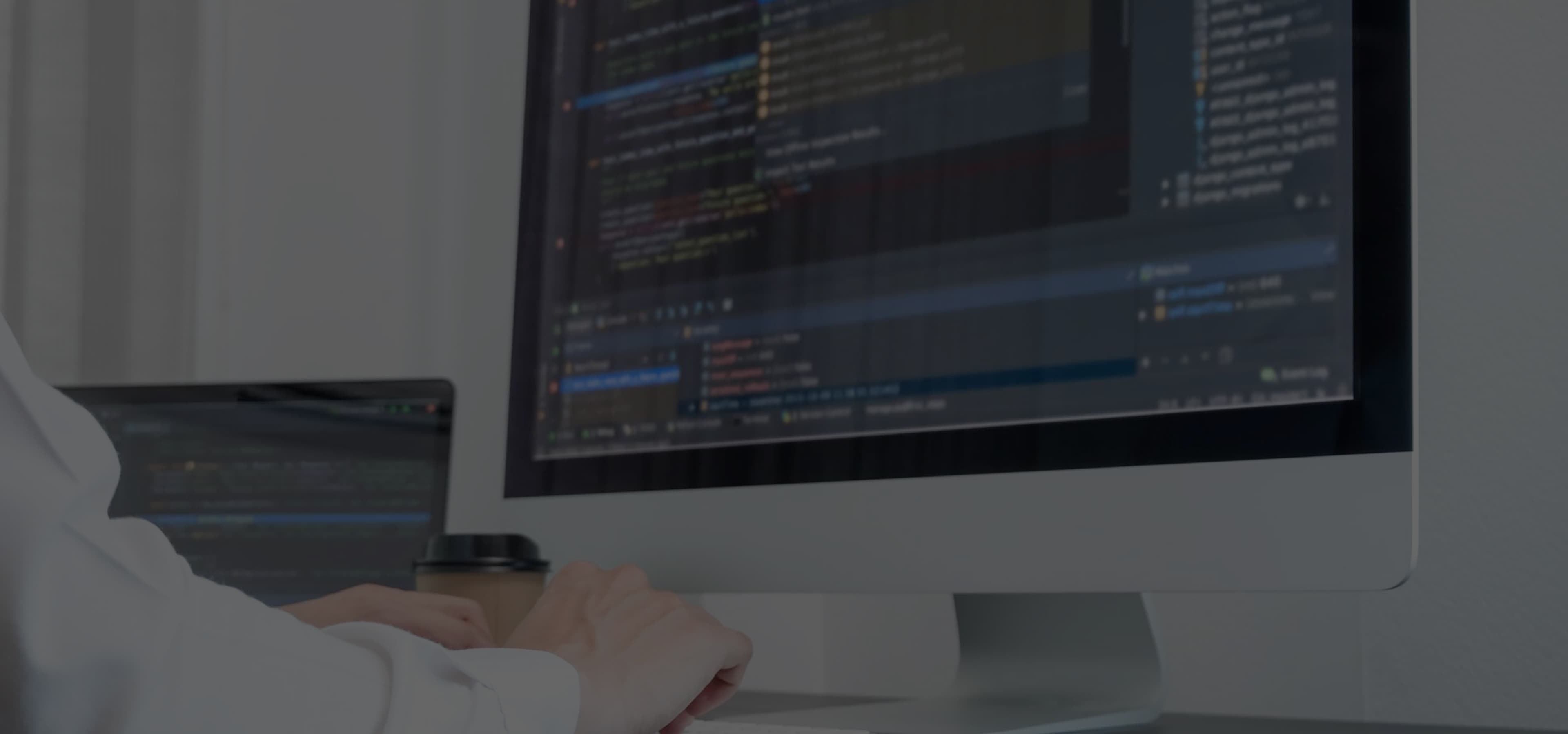 MVP Software Development Services by NEKLO