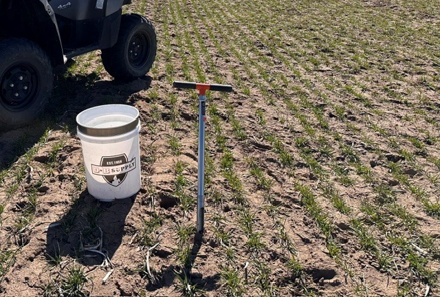 CEMA 216 SOIL
