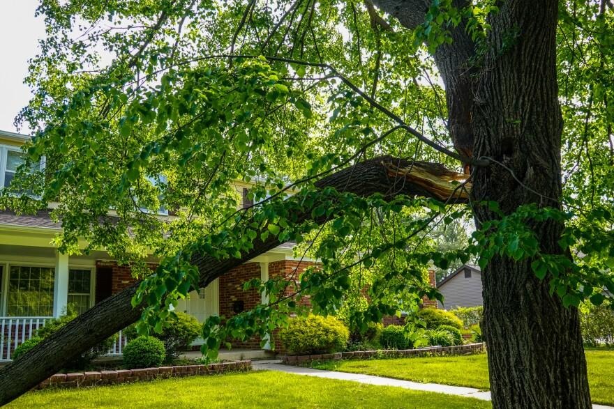 County leaf and limb pick up service may move to on-demand basis
