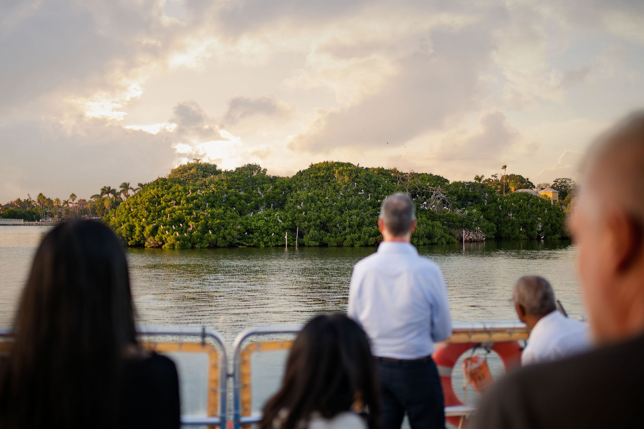 A group of people on a boat gaze at nearby land.