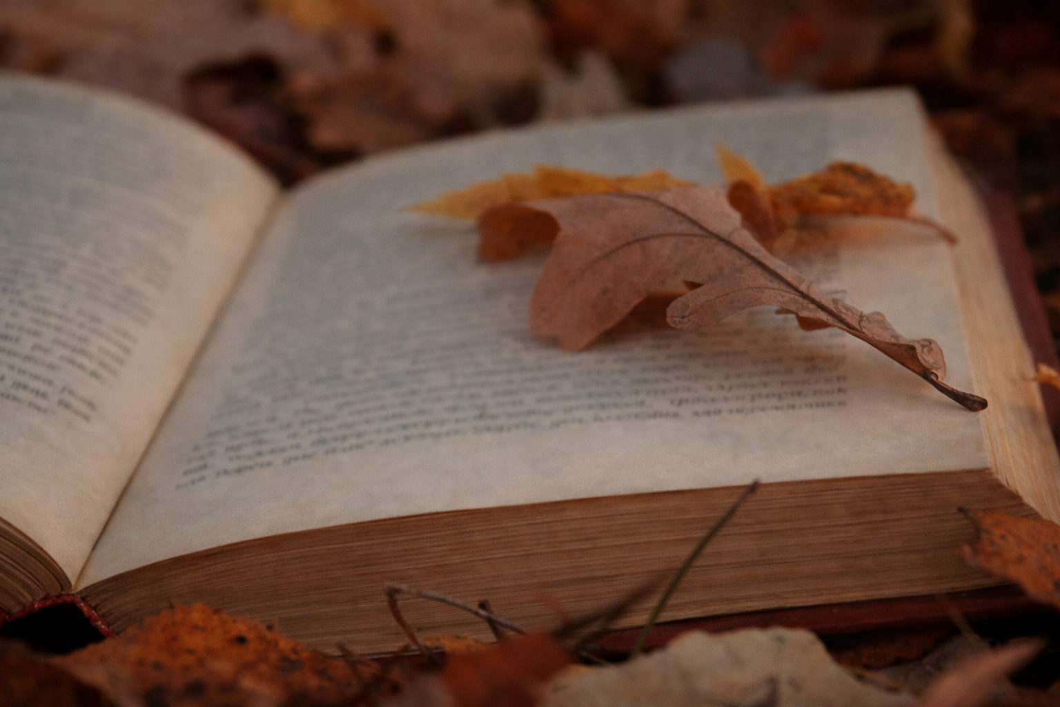 Une feuille d'automne est posé sur un livre de poésies