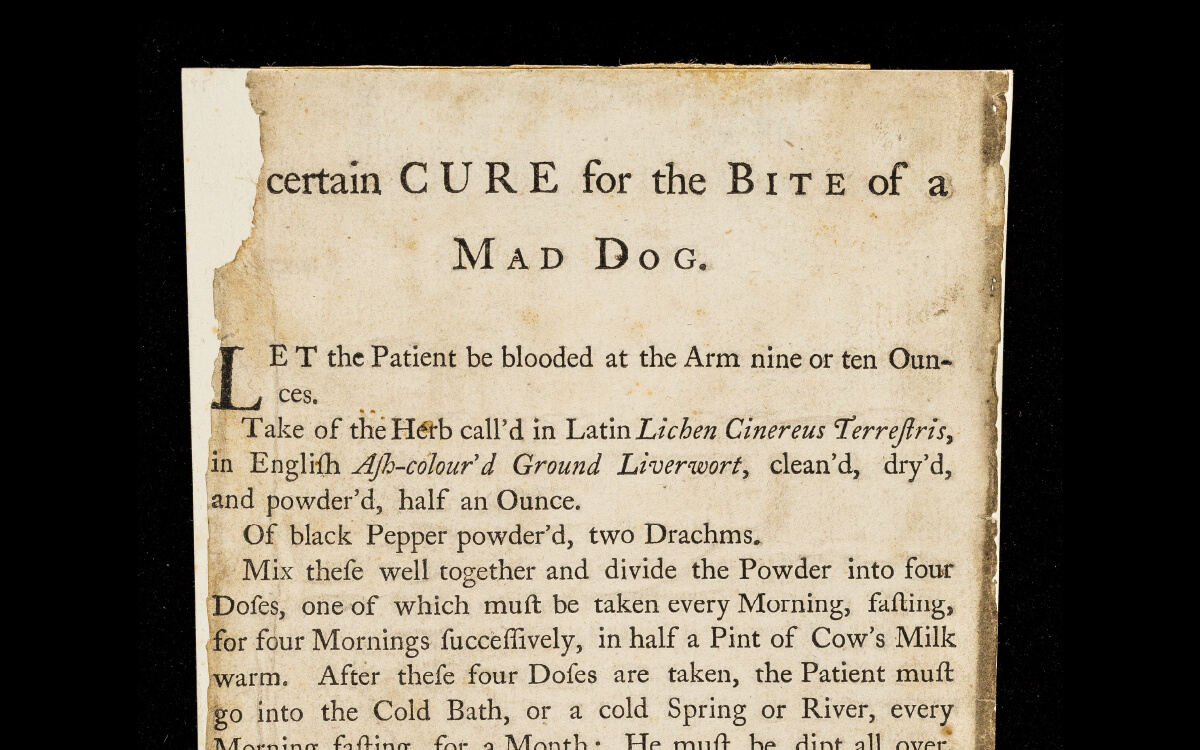 Notes on Animal Health, October 2025: A Rabies Resurgence? 