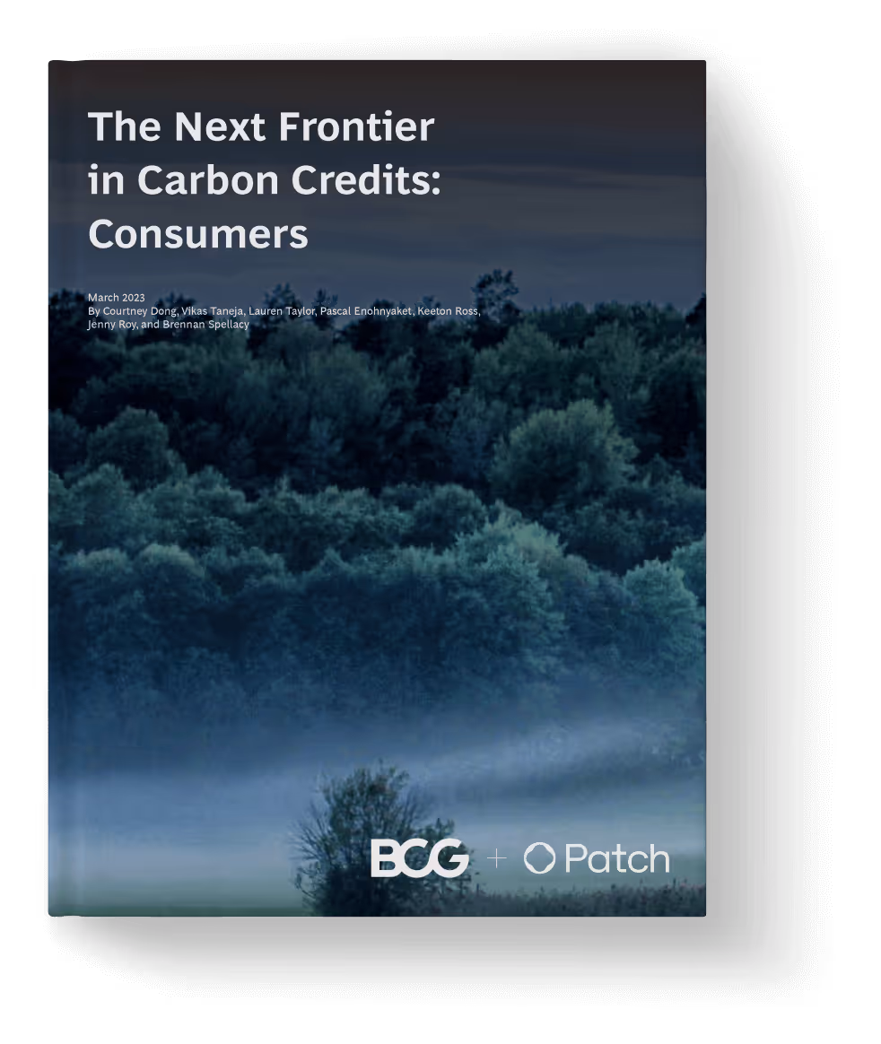 BCG Next Frontier In Carbon Credits