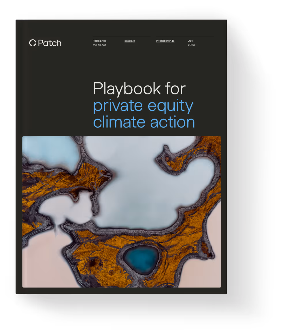 Private Equity Playbook