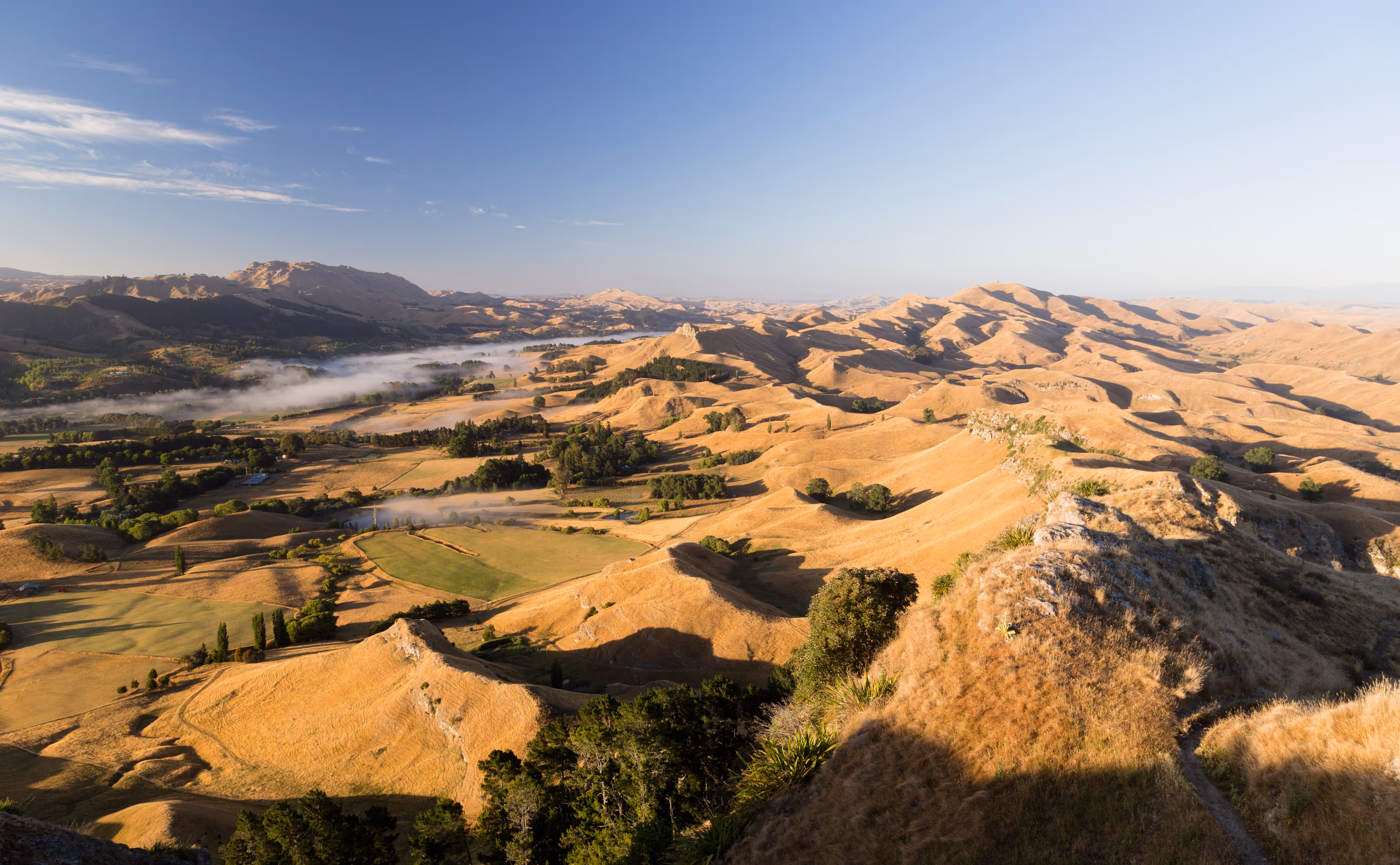Climate action conversations: Navigating the evolving voluntary carbon market