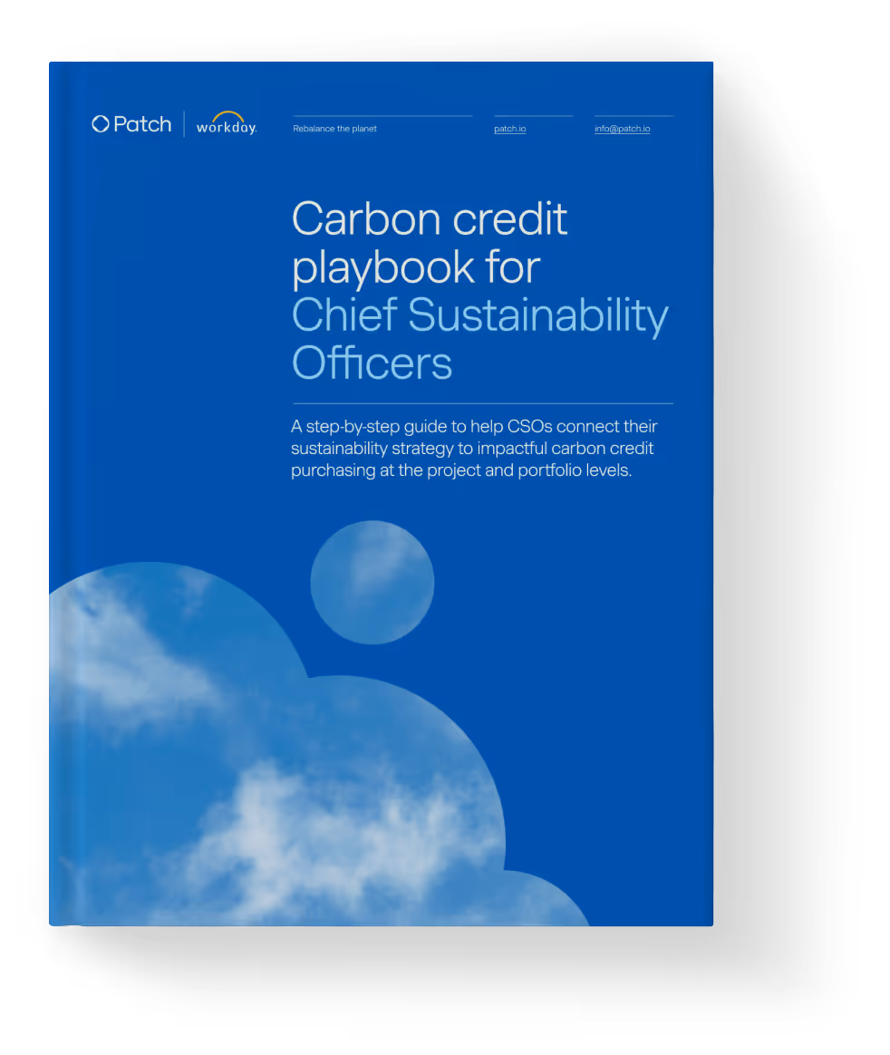 Carbon credit playbook for Chief Sustainability Officers