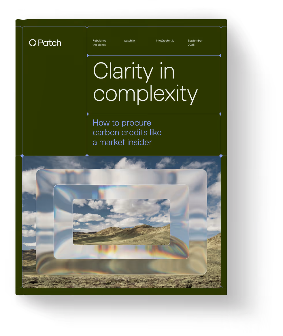 Clarity in complexity: How to procure carbon credits like a market insider