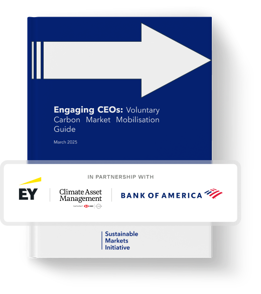 SMI VCM mobilisation guide