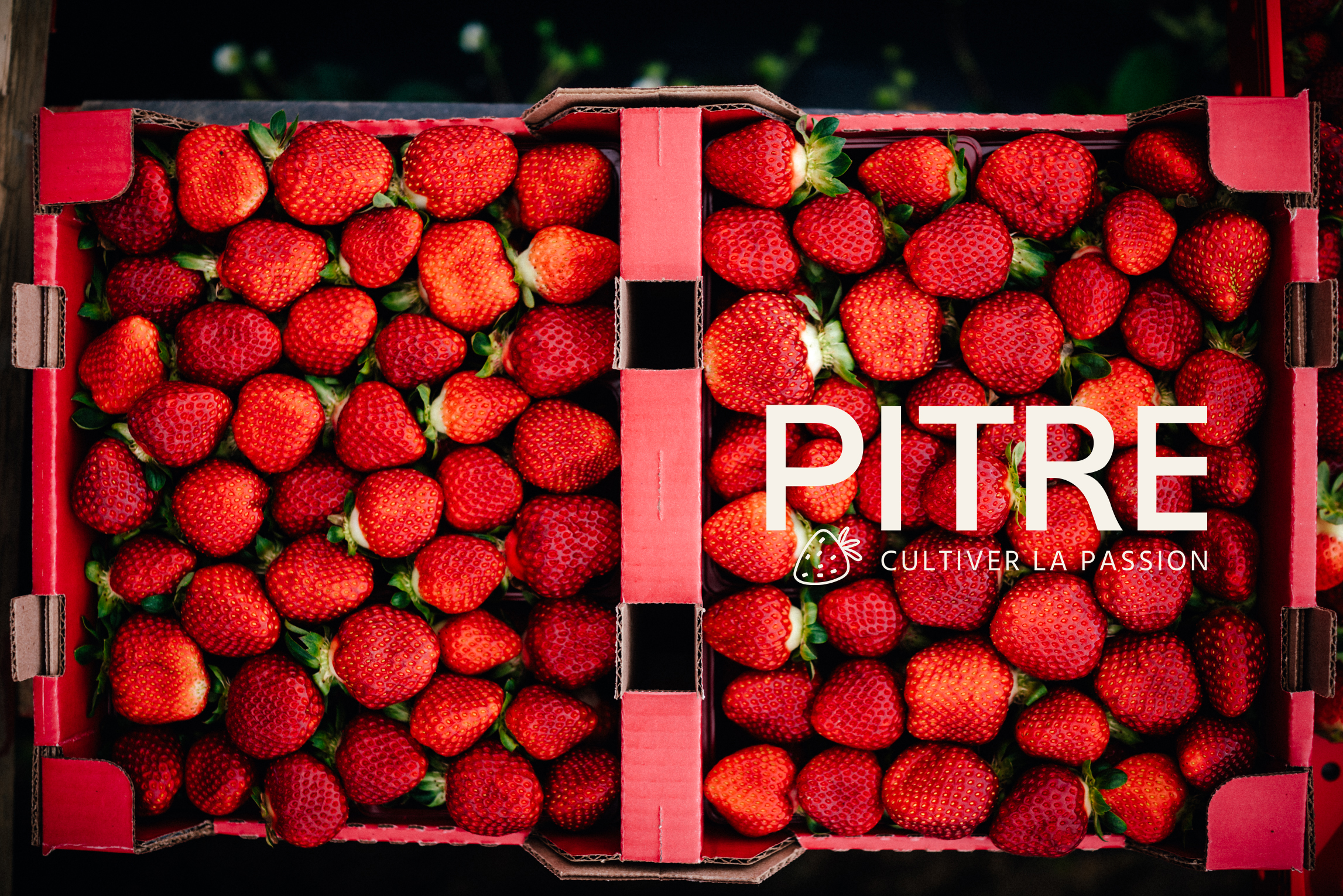 Les Entreprises Pitre