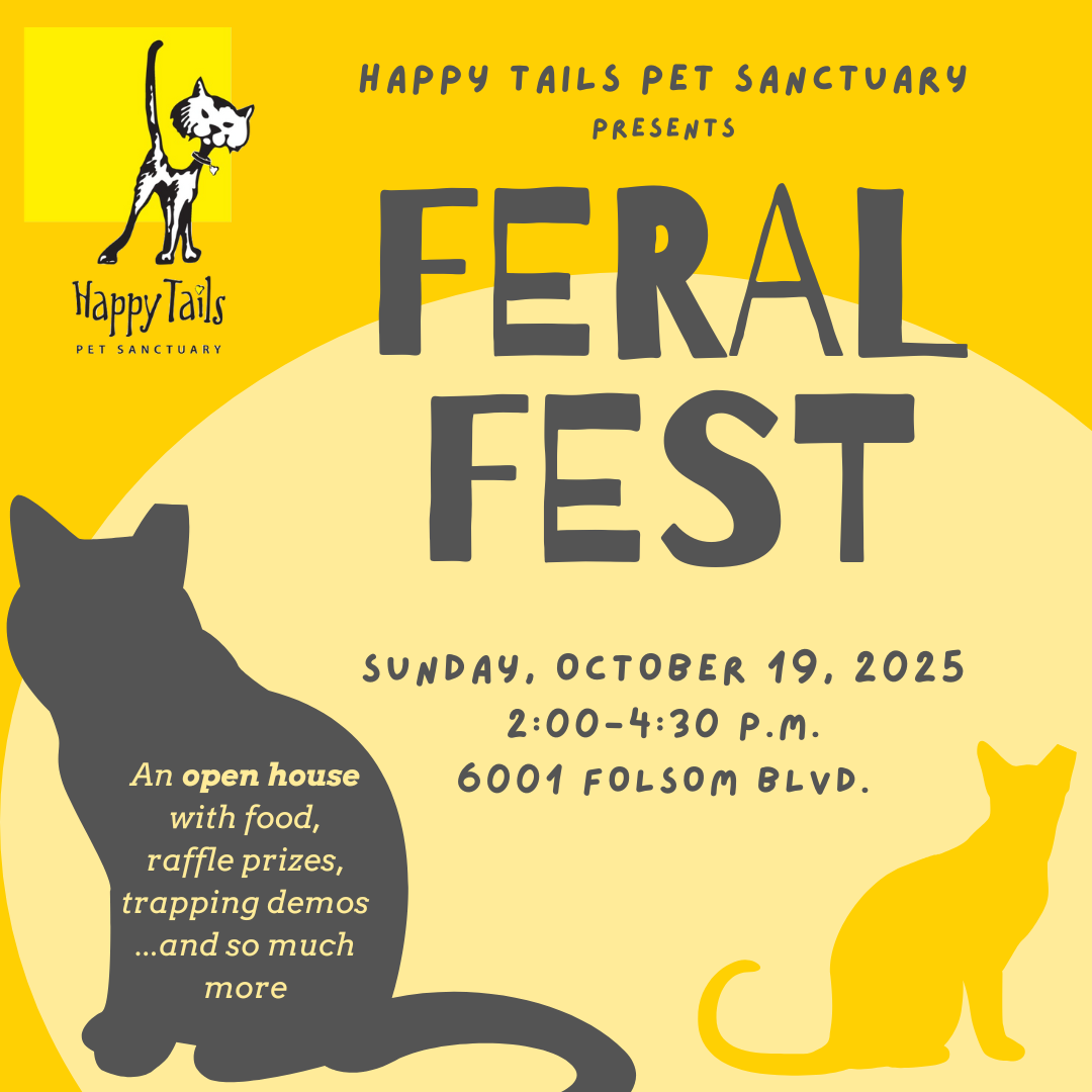 Feral Fest (Feral Cat Day) 2025
