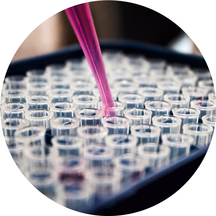 Close-up of a pink pipette dispensing liquid into clear test tubes in a lab tray representing the healthcare and pharma sector.
