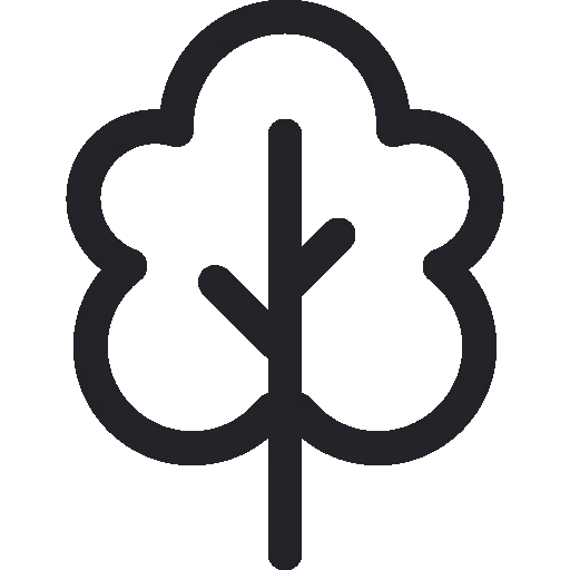 Simplified grey icon of a tree with a single trunk and rounded canopy outline.