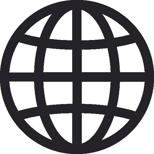 Simple black globe icon with latitude and longitude lines.