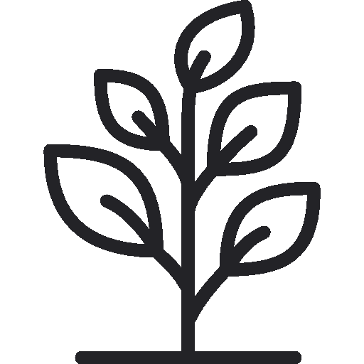 Simple black line drawing of a small plant with seven leaves on a white background.