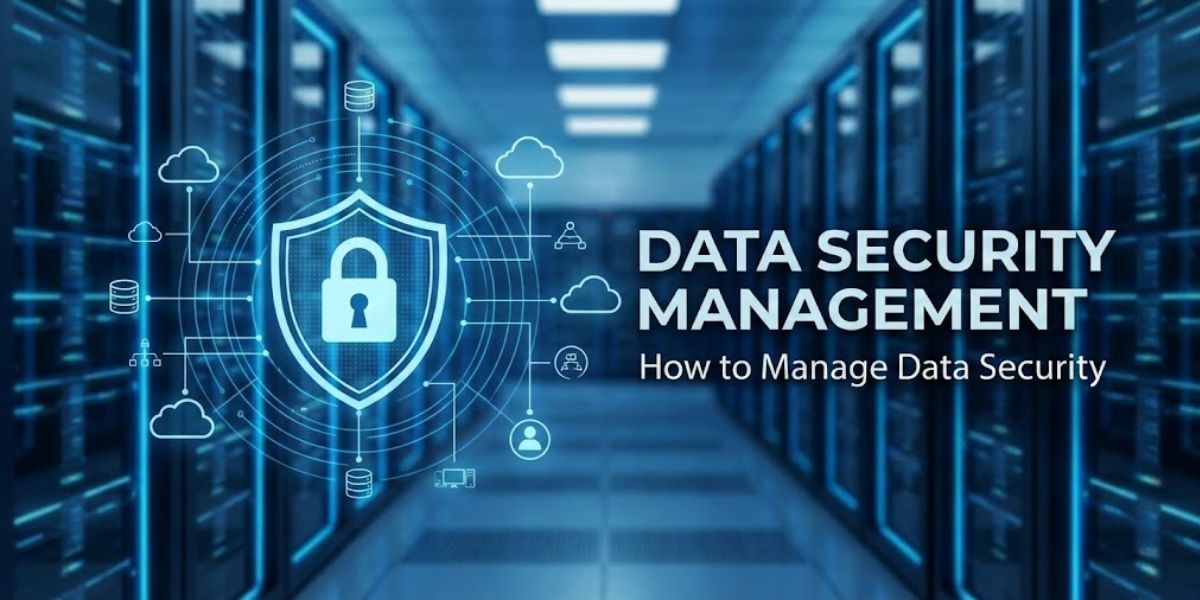 What Is Data Security Management? How to Manage Data Security