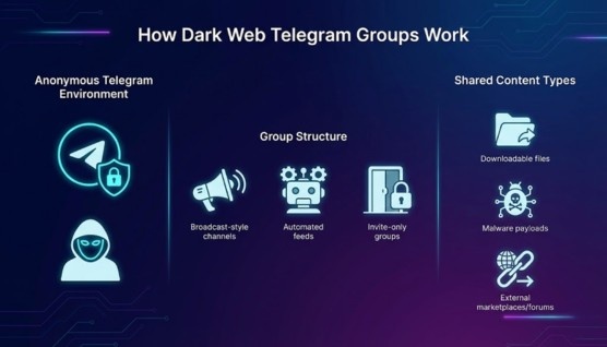 how dark web telegram groups work