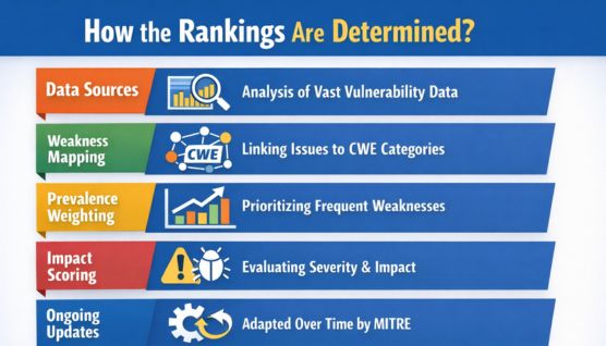 how the rankings are determined