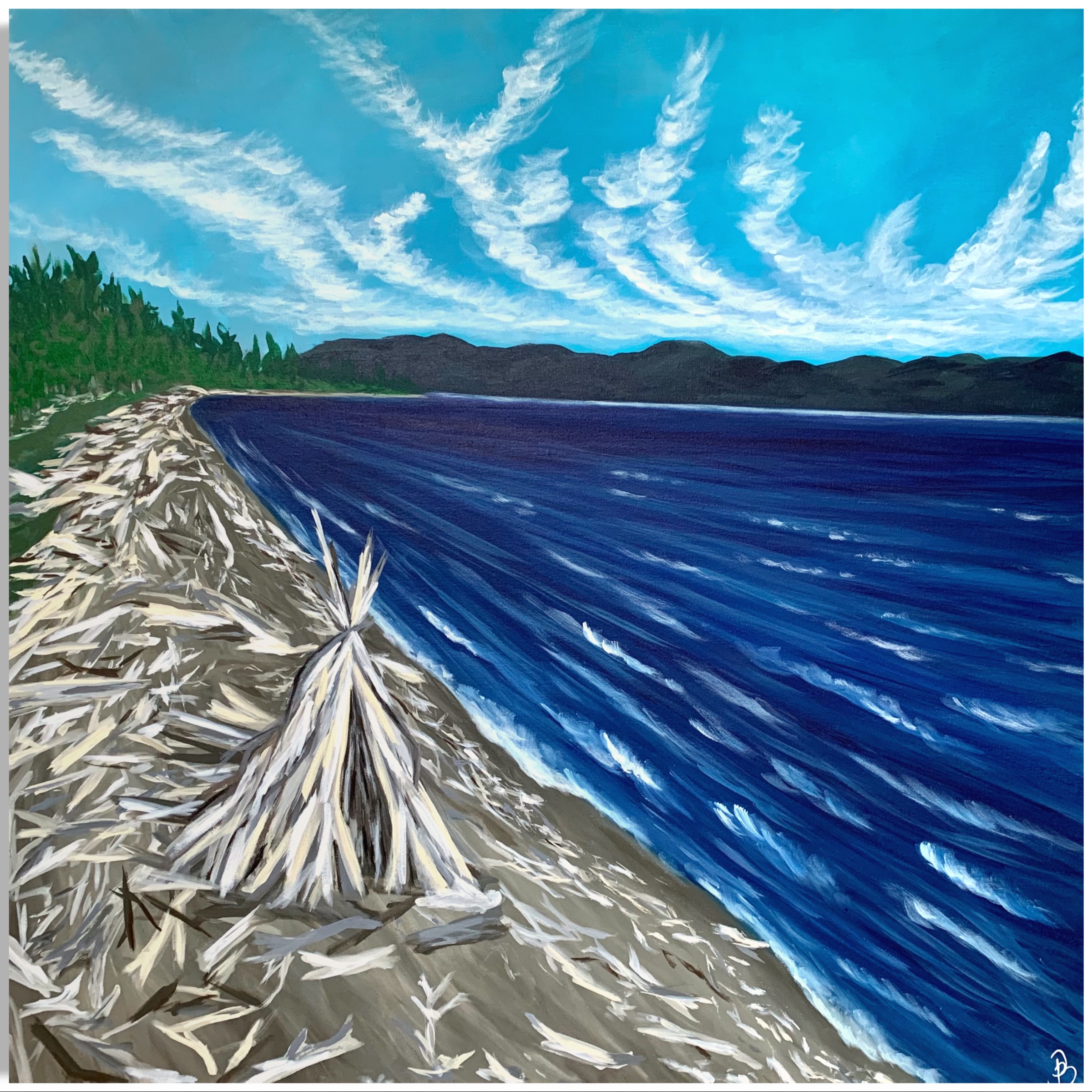 Ella Beach, Vancouver Island