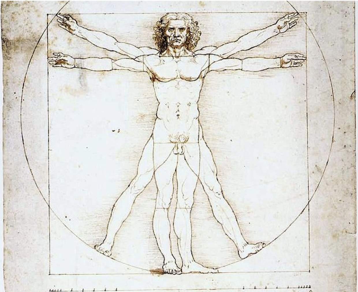 Michelangelo and da Vinci: Shifting Attitudes of the Human Body
