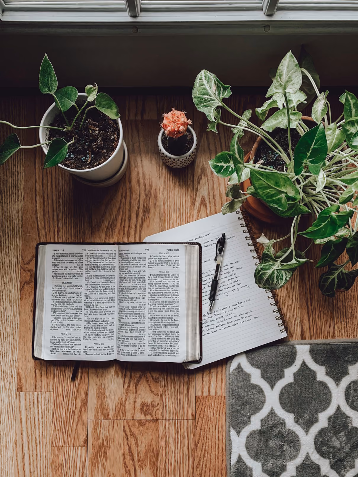 Bible teaching resources on a laptop