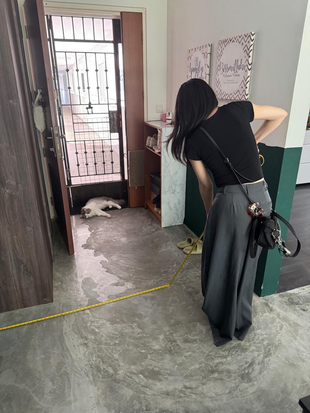 interior-firm-project-management