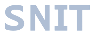 Logo SNIT