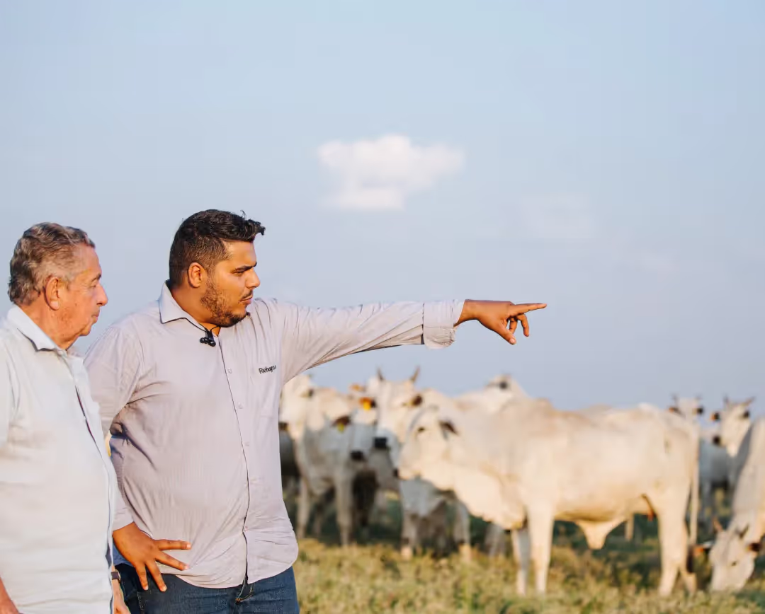 Consultor do Rehagro orientando produtor rural diante do rebanho de gado de corte