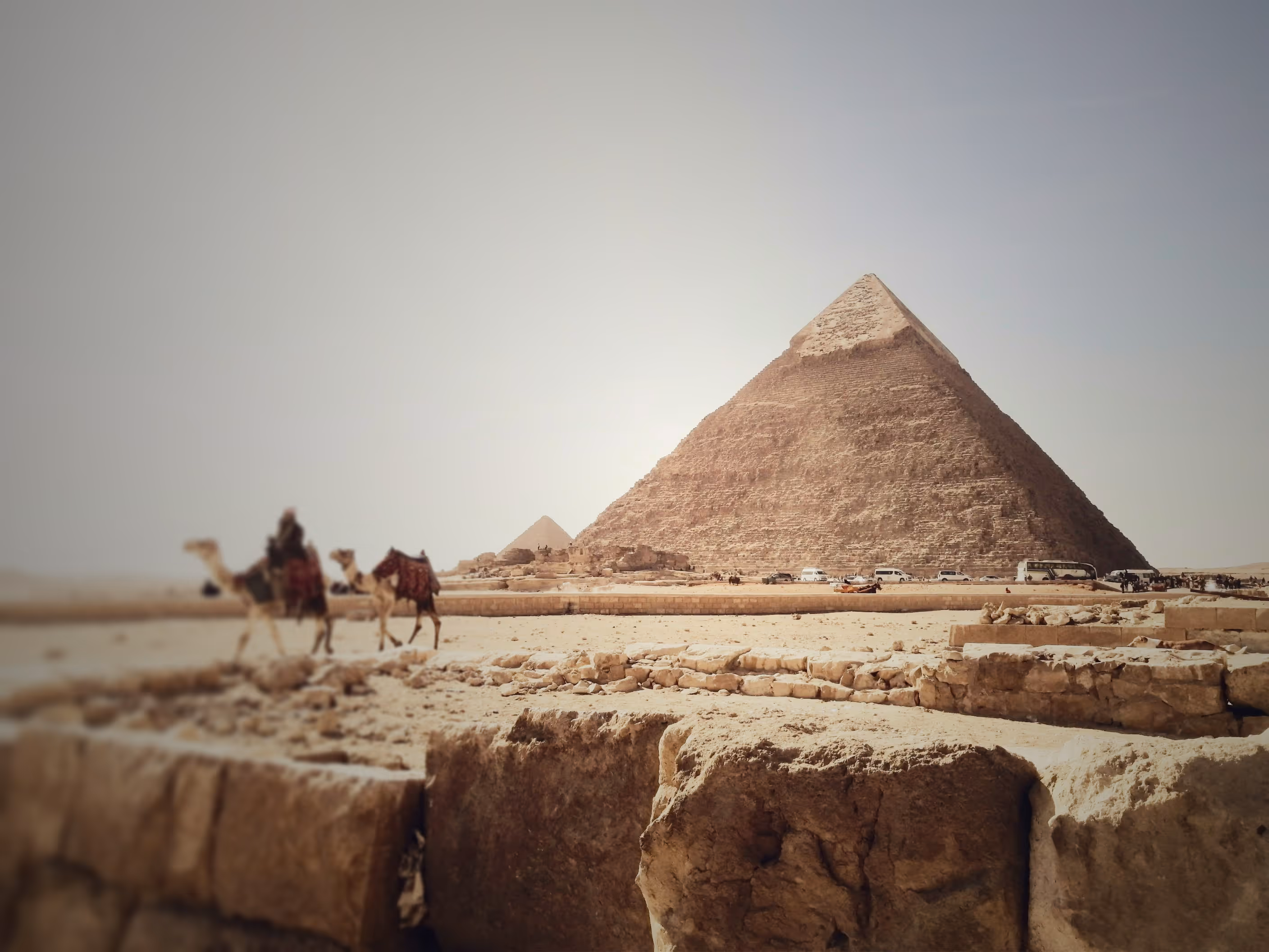 The Great Pyramid of Giza with camels and cars nearby under a clear sky.