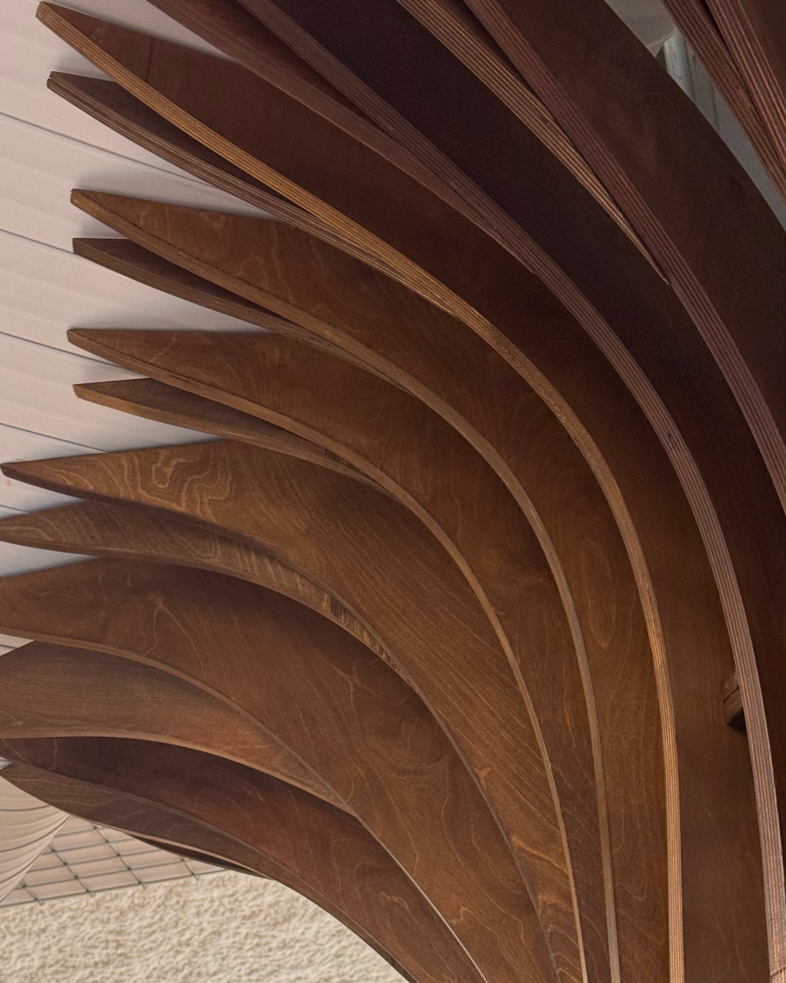 Bent plywood ribs forming a sculptural ceiling, built by Calico