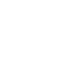 Shield icon representing the risk Darkhorse Tech's hardware solutions reduce