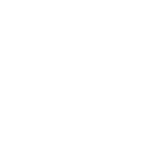 Lightning bolt icon representing how Darkhorse Tech helps with hardware solutions